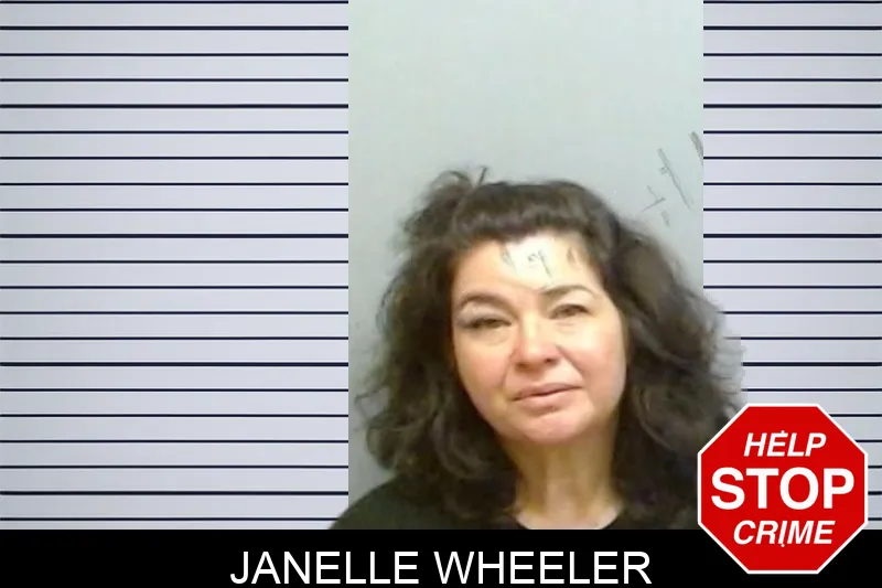 Janelle Wheeler mugshot – Fulton County , Georgia Janelle Wheeler mugshot