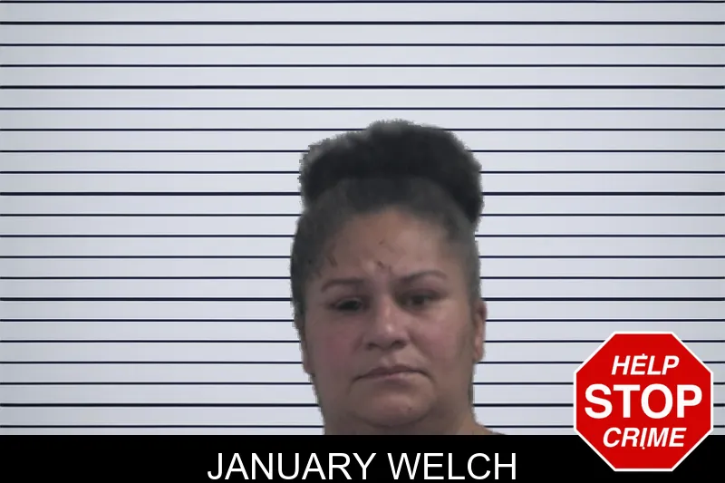January Welch mugshot – McDuffie County , Georgia January Welch mugshot