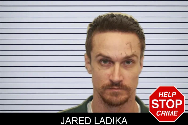 Jared Ladika mugshot – Chatham County , Georgia Jared Ladika mugshot