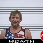 Jared Watkins mugshot