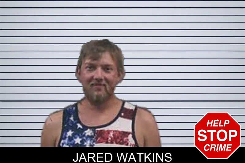 Jared Watkins mugshot