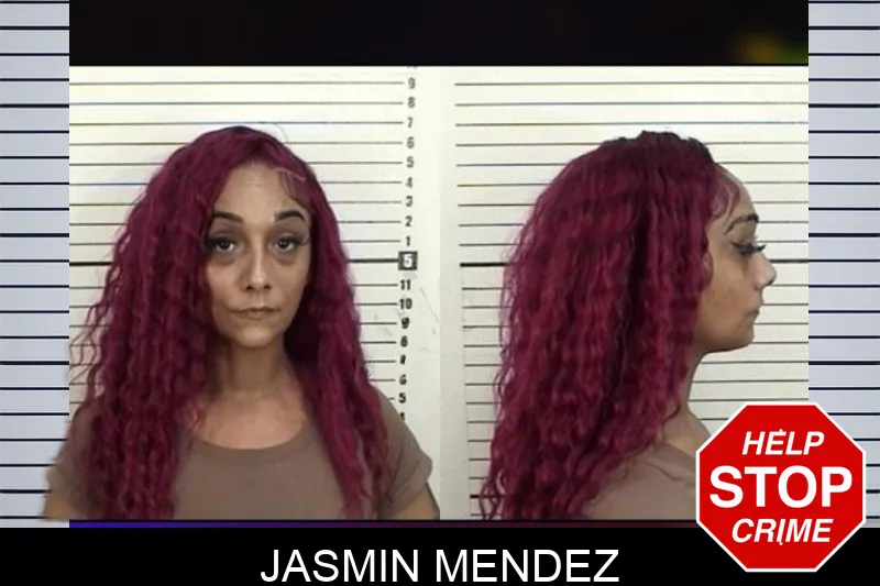 Jasmin Mendez mugshot