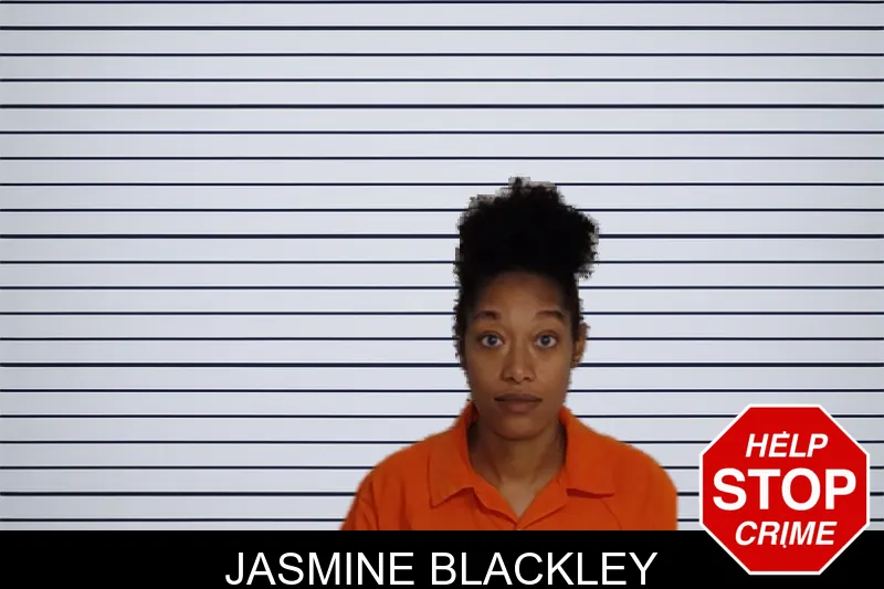 Jasmine Blackley mugshot – Rockdale County , Georgia Jasmine Blackley mugshot