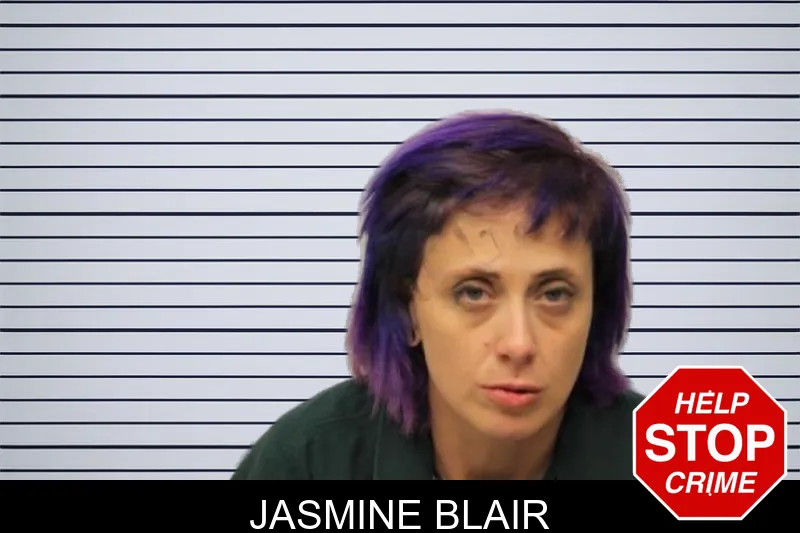 Jasmine Blair mugshot – Chatham County , Georgia Jasmine Blair mugshot