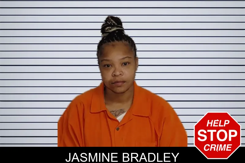 Jasmine Bradley mugshot – Rockdale County , Georgia Jasmine Bradley mugshot