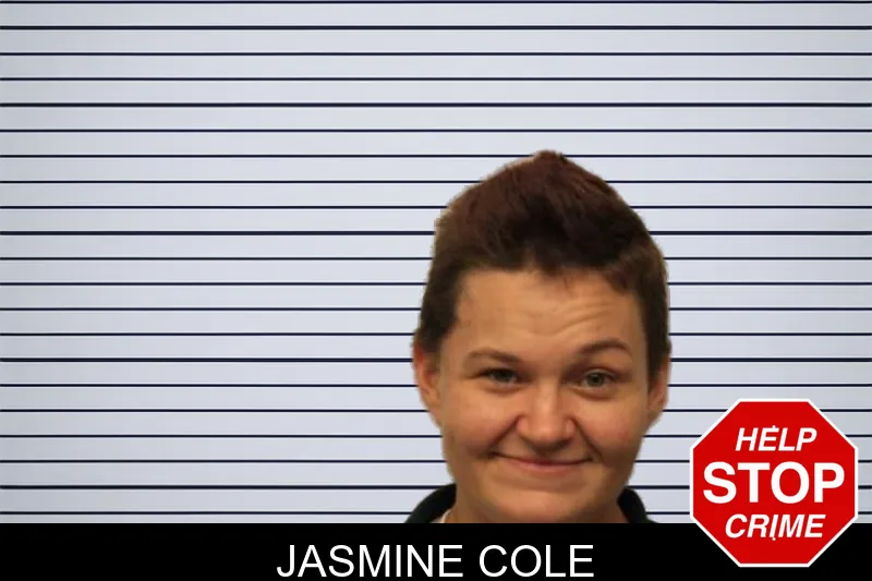 Jasmine Cole mugshot – Chatham County , Georgia Jasmine Cole mugshot