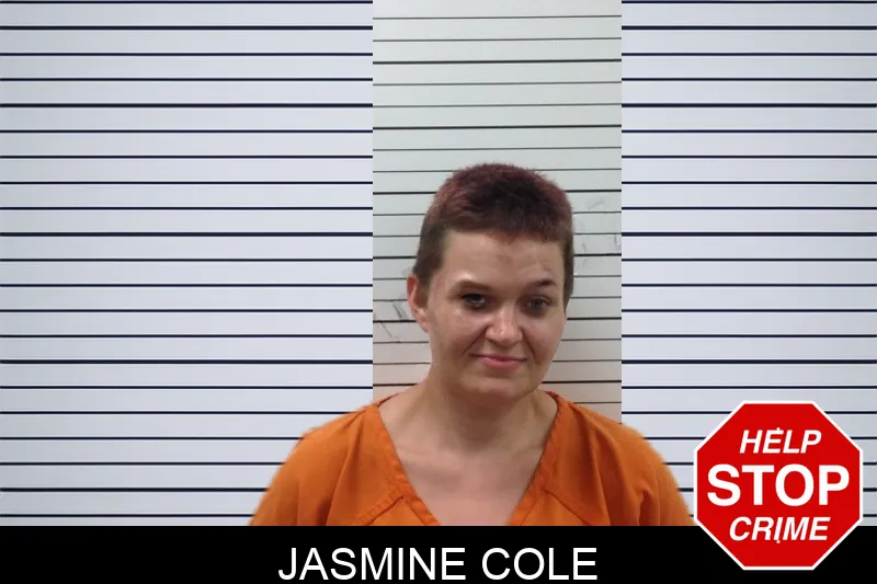Jasmine Cole mugshot – Pickens County , Georgia Jasmine Cole mugshot