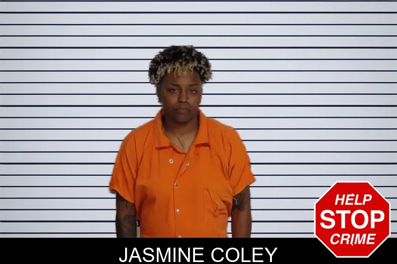 Jasmine Coley mugshot – Rockdale County , Georgia Jasmine Coley mugshot