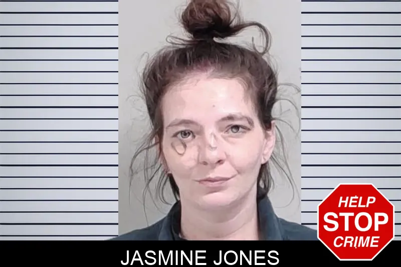Jasmine Jones mugshot – Lowndes County , Georgia Jasmine Jones mugshot