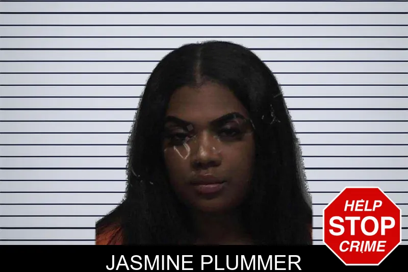 Jasmine Plummer mugshot – Laurens County , Georgia Jasmine Plummer mugshot