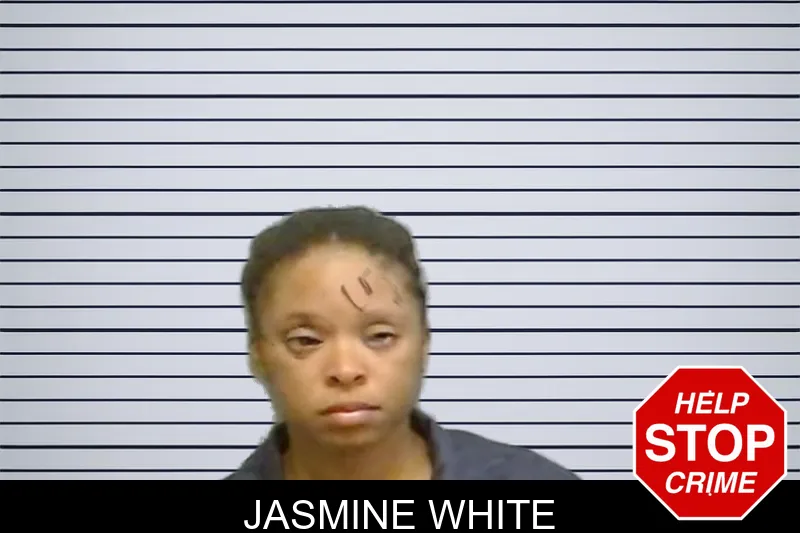 Jasmine White mugshot – Fulton County , Georgia Jasmine White mugshot
