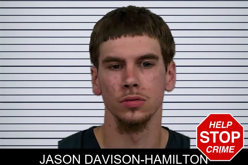 Jason Davison-Hamilton mugshot