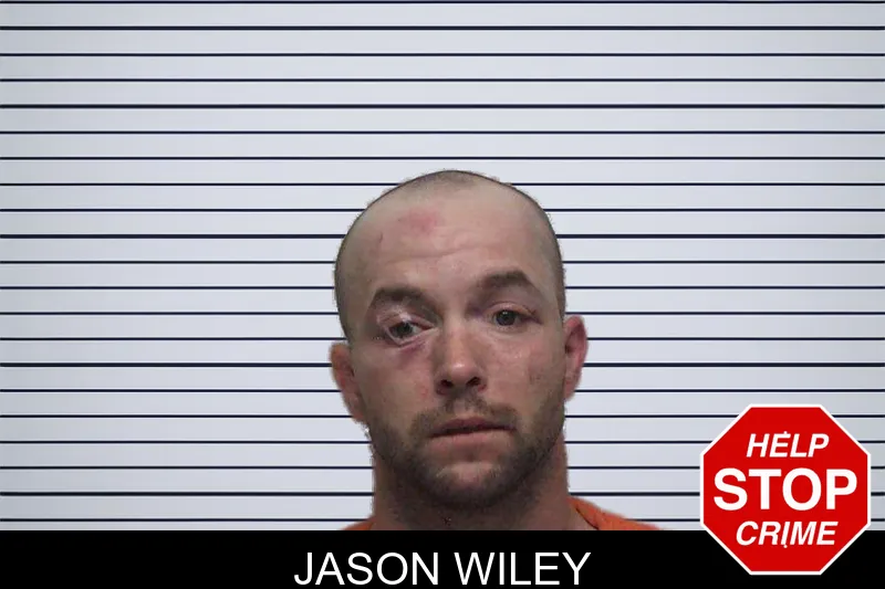 Jason Wiley mugshot