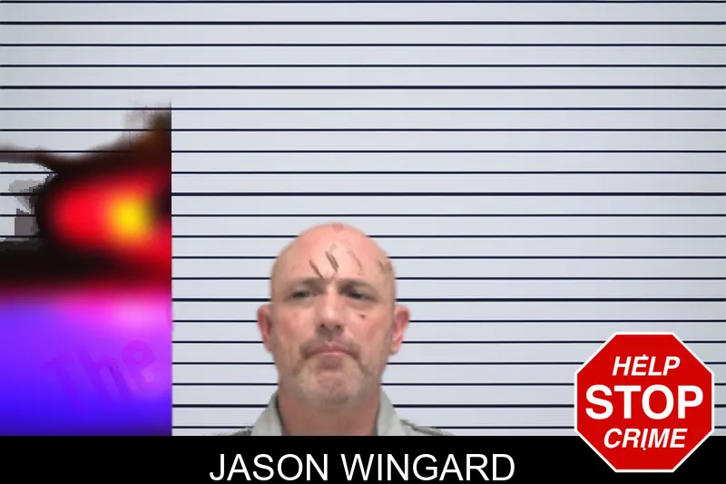 Jason Wingard mugshot – Dougherty County , Georgia Jason Wingard mugshot