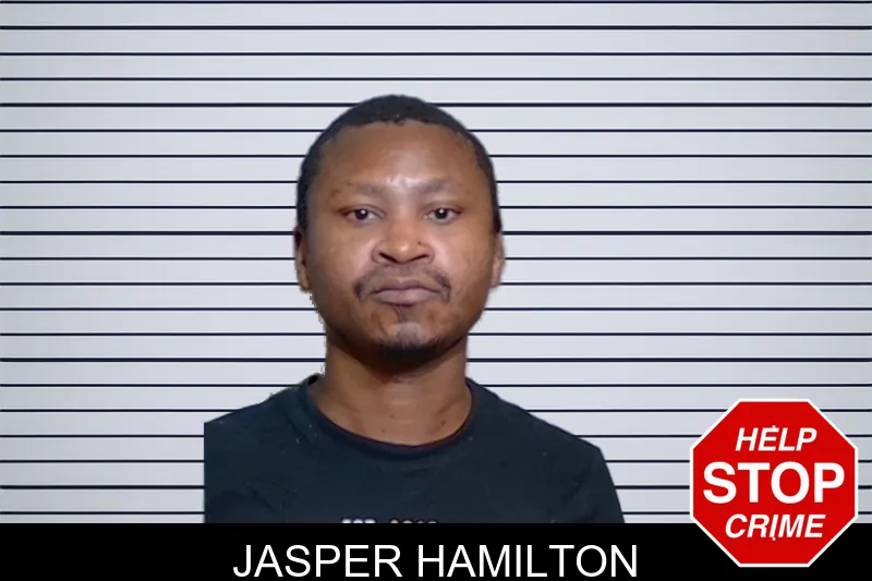 Jasper Hamilton mugshot – Glynn County , Georgia Jasper Hamilton mugshot