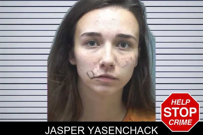 Jasper Yasenchack mugshot – Cherokee County , Georgia Jasper Yasenchack mugshot