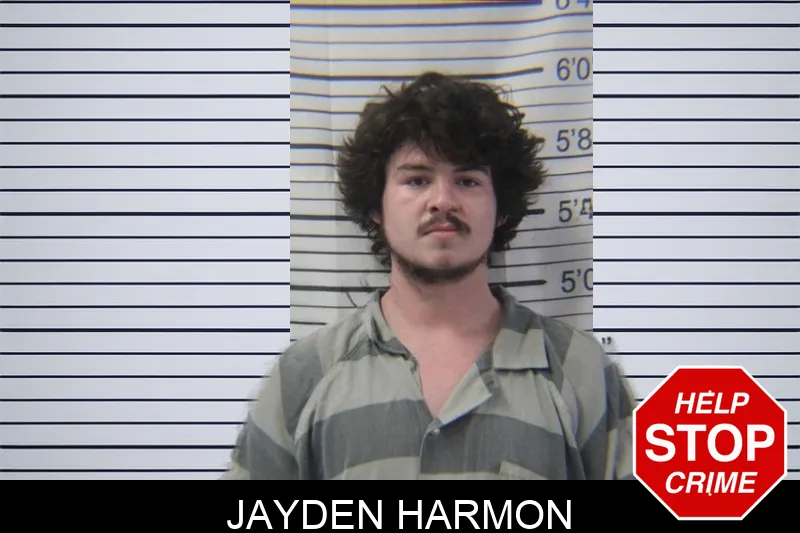 Jayden Harmon mugshot – Stephens County , Georgia Jayden Harmon mugshot