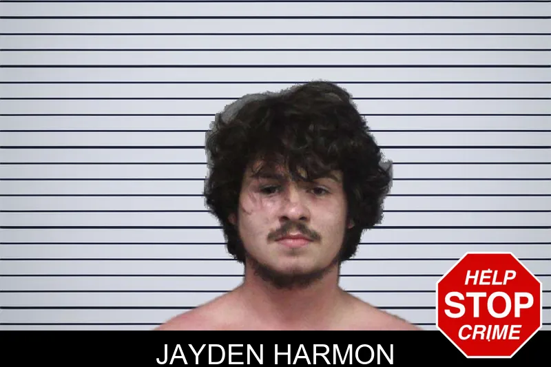 Jayden Harmon mugshot – White County , Georgia Jayden Harmon mugshot