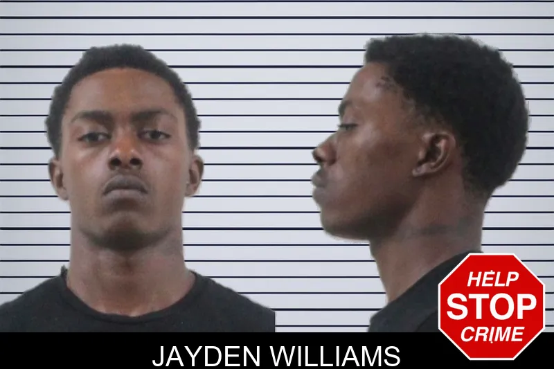 Jayden Williams mugshot – Houston County , Georgia Jayden Williams mugshot