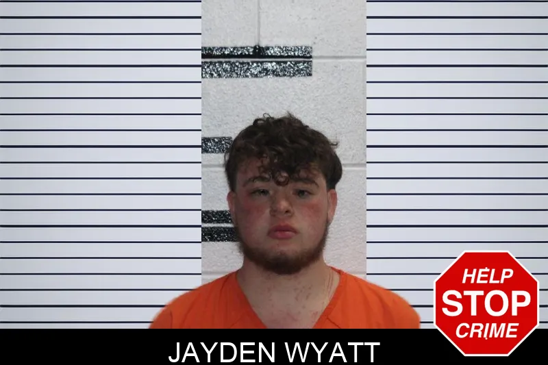 Jayden Wyatt mugshot – Murray County , Georgia Jayden Wyatt mugshot