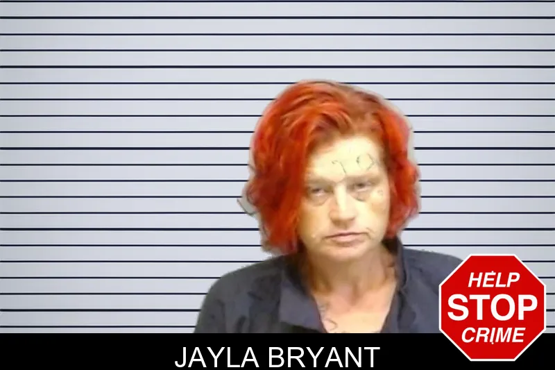 Jayla Bryant mugshot