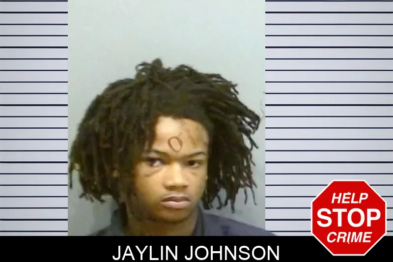 Jaylin Johnson mugshot – Fulton County , Georgia Jaylin Johnson mugshot