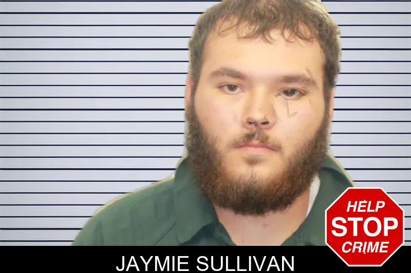 Jaymie Sullivan mugshot – Chatham County , Georgia Jaymie Sullivan mugshot