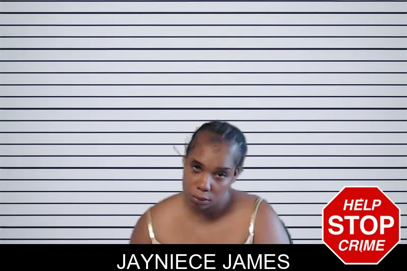 Jayniece James mugshot – DeKalb County , Georgia Jayniece James mugshot
