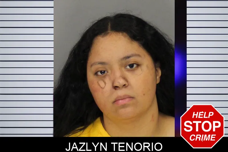 Jazlyn Tenorio mugshot – Cobb County , Georgia Jazlyn Tenorio mugshot