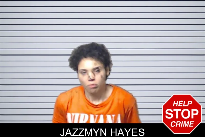 Jazzmyn Hayes mugshot – DeKalb County , Georgia Jazzmyn Hayes mugshot