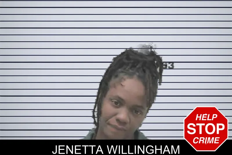 Jenetta Willingham mugshot – Colquitt County , Georgia Jenetta Willingham mugshot