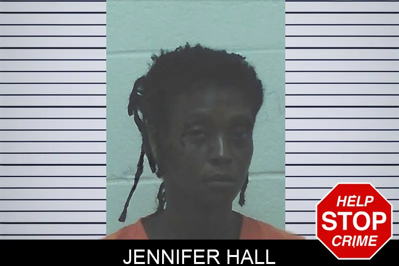 Jennifer Hall mugshot – Worth County , Georgia Jennifer Hall mugshot