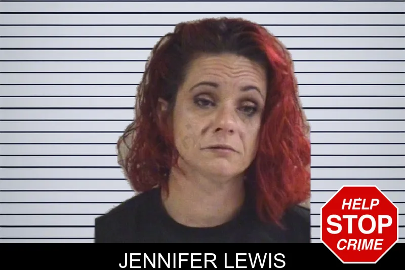 Jennifer Lewis mugshot