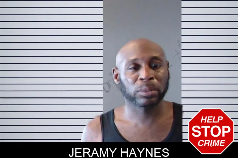Jeramy Haynes mugshot – DeKalb County , Georgia Jeramy Haynes mugshot