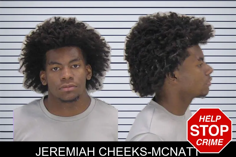 Jeremiah Cheeks-McNatt mugshot
