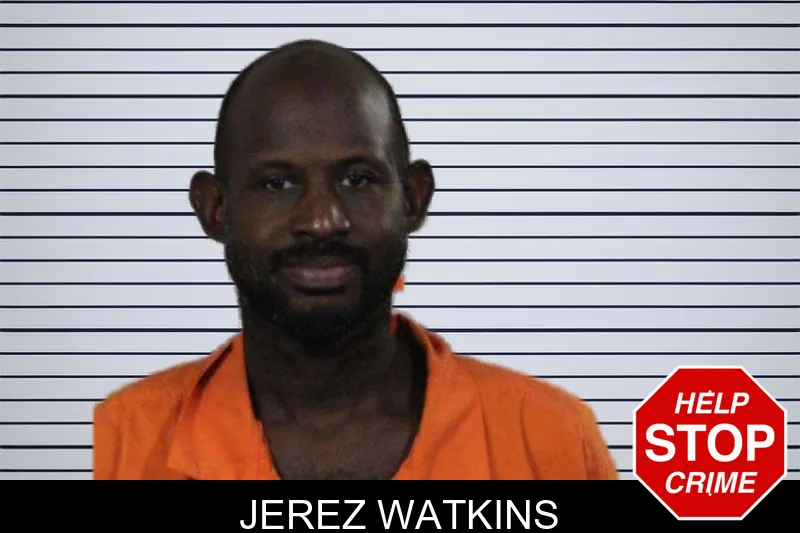 Jerez Watkins mugshot – Lamar County , Georgia Jerez Watkins mugshot