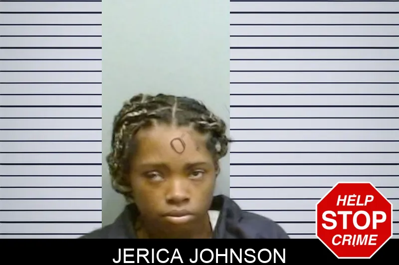 Jerica Johnson mugshot – Fulton County , Georgia Jerica Johnson mugshot
