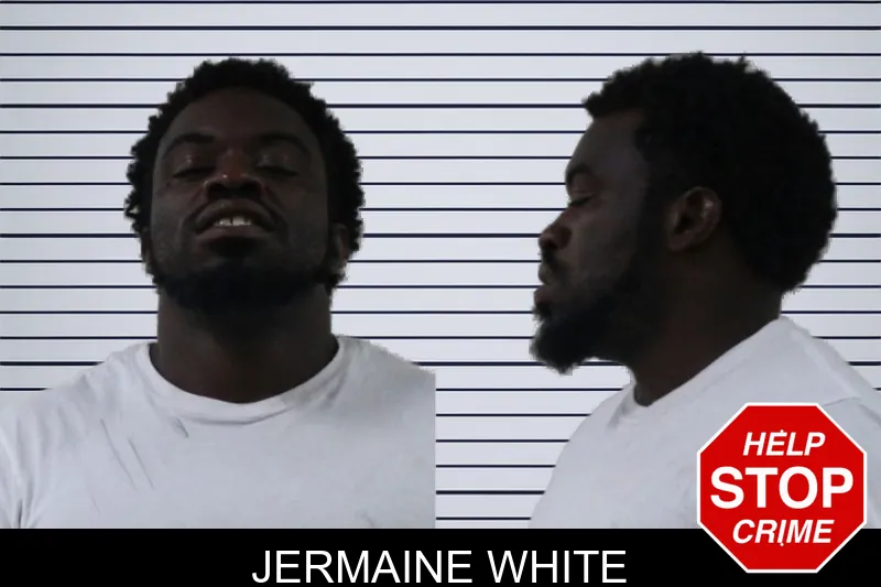 Jermaine White mugshot