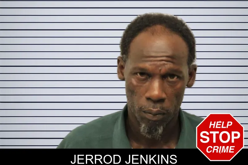 Jerrod Jenkins mugshot – Chatham County , Georgia Jerrod Jenkins mugshot