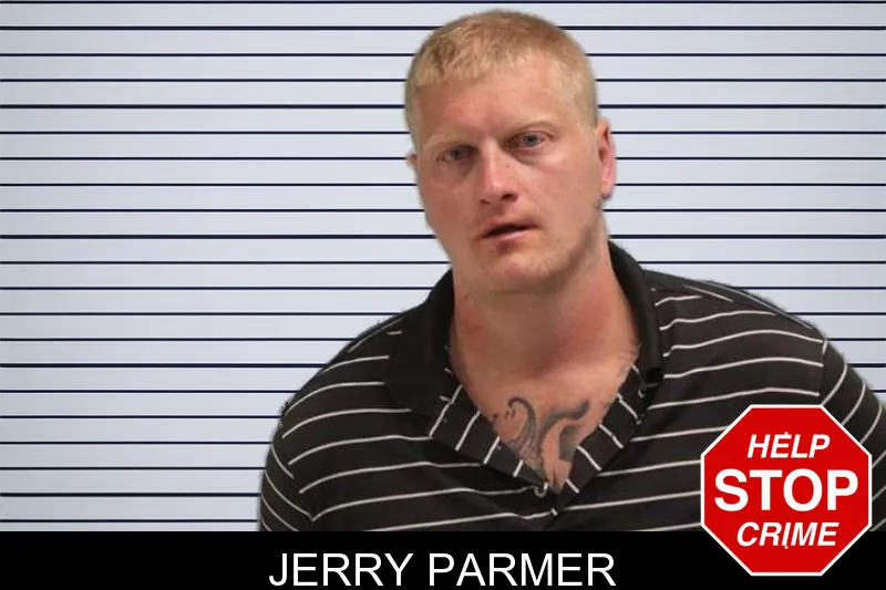 Jerry Parmer mugshot – Grady County , Georgia Jerry Parmer mugshot