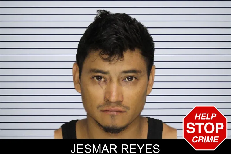 Jesmar Reyes mugshot