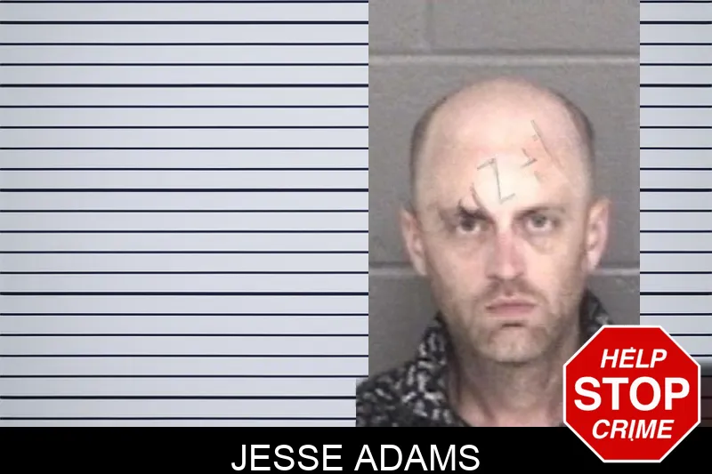 Jesse Adams mugshot – Barrow County , Georgia Jesse Adams mugshot