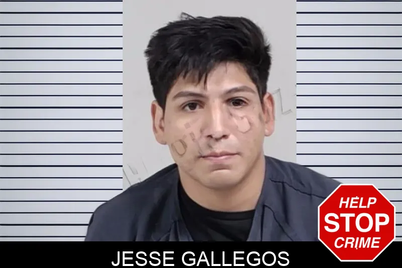Jesse Gallegos mugshot – Lowndes County , Georgia Jesse Gallegos mugshot