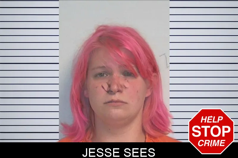 Jesse Sees mugshot