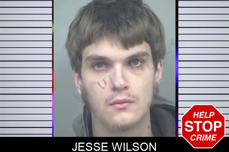 Jesse Wilson mugshot – Gwinnett County , Georgia Jesse Wilson mugshot