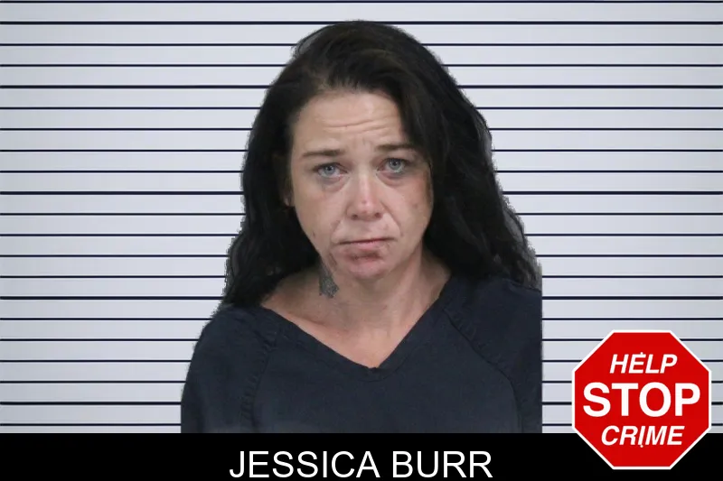 Jessica Burr mugshot