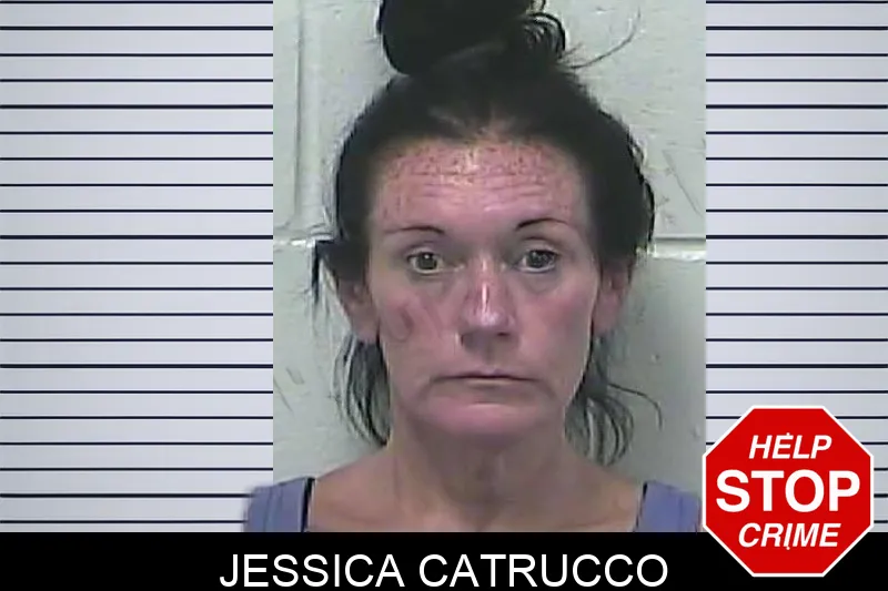 Jessica Catrucco mugshot – Dawson County , Georgia Jessica Catrucco mugshot