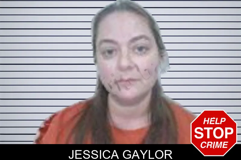 Jessica Gaylor mugshot – Henry County , Georgia Jessica Gaylor mugshot
