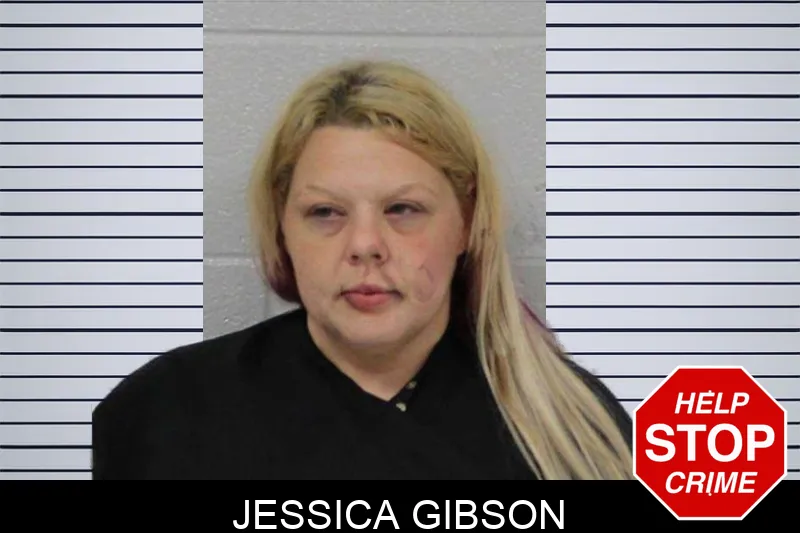 Jessica Gibson mugshot – Carroll County , Georgia Jessica Gibson mugshot