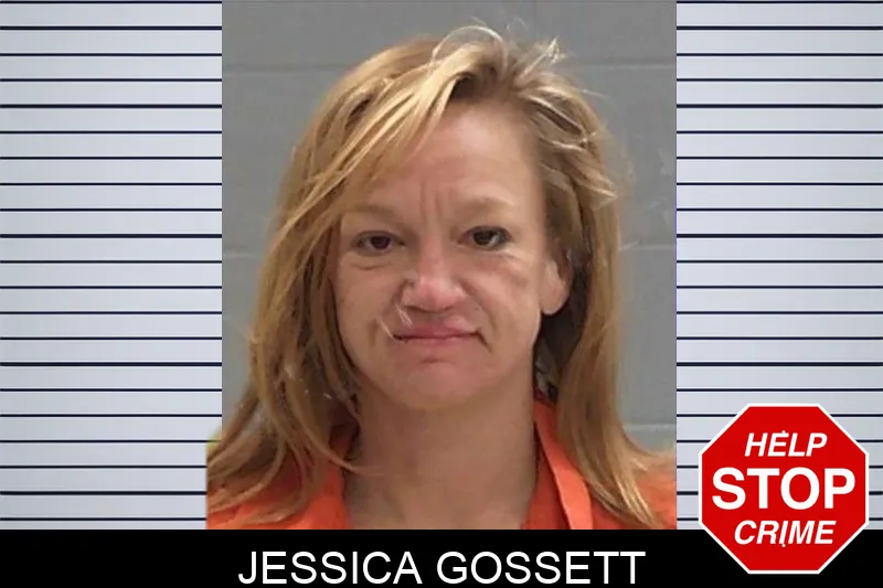 Jessica Gossett mugshot – Baldwin County , Georgia Jessica Gossett mugshot